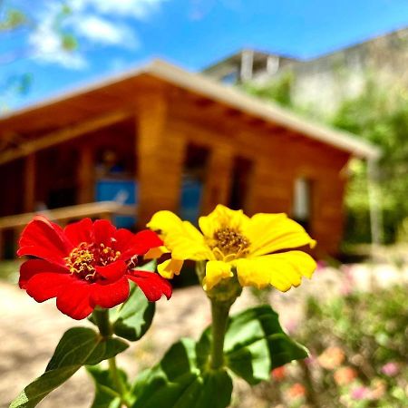 Hoja Azul Villa Hojancha Eksteriør billede
