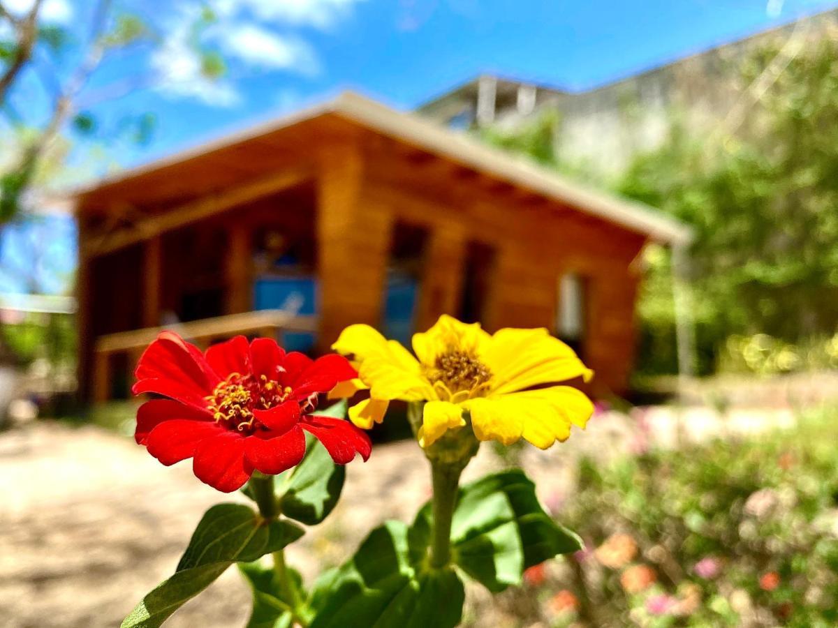 Hoja Azul Villa Hojancha Eksteriør billede