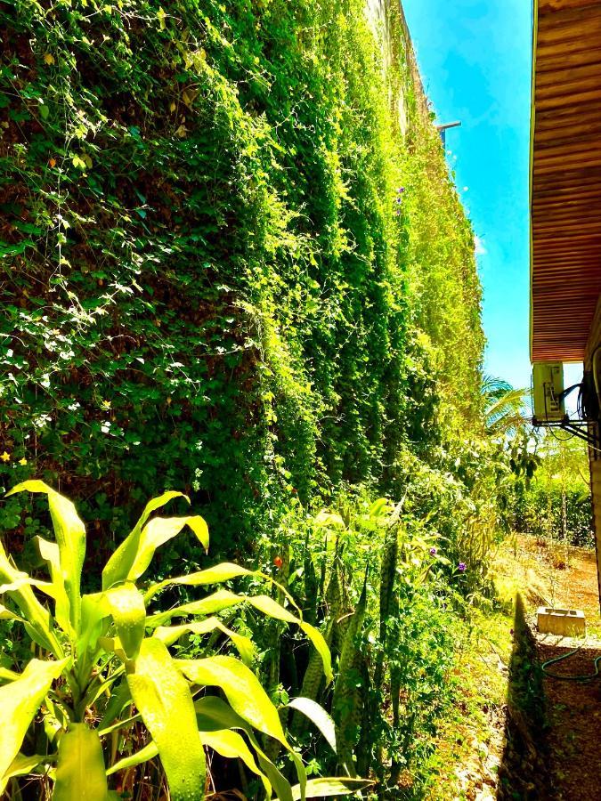 Hoja Azul Villa Hojancha Eksteriør billede